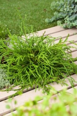 Gazebo Parts Direct Sales Store -Tuinbenodigdheden Verkoop 2024 58BS9PEY 69ea