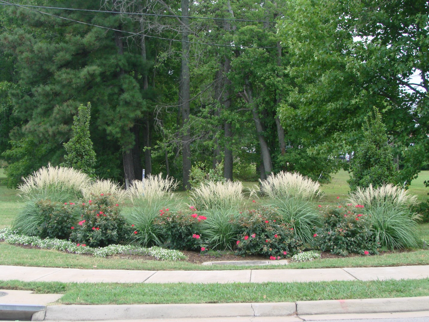 Gazebo Parts Direct Sales Store -Tuinbenodigdheden Verkoop 2024 Dingtalk 20240530102007