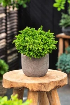 Gazebo Parts Direct Sales Store -Tuinbenodigdheden Verkoop 2024 GCL2WJ8N 52f3