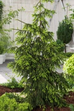 Gazebo Parts Direct Sales Store -Tuinbenodigdheden Verkoop 2024 H8GGD4VR 3a6d