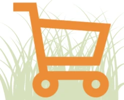 Pijpenstrootje 'Moorhexe'