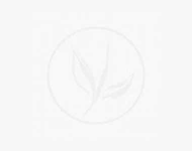 Ilex Meserveae Heckenfee C45 125-150 Cm 1 Ilex Meserveae Heckenfee C45 125-150 Cm