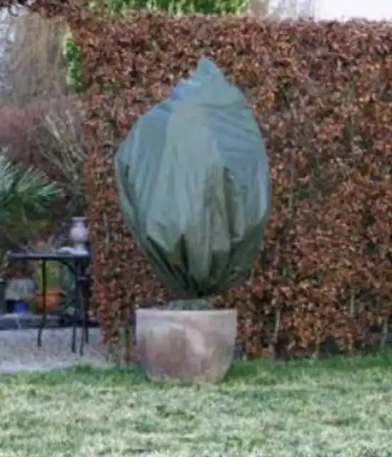 Veilig winkelen | Winterafdekhoes koord 150x157xØ100cm groen