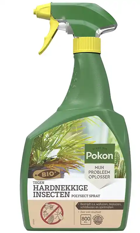 Outlet - Pokon bio insectenspray hardnekkige insecten