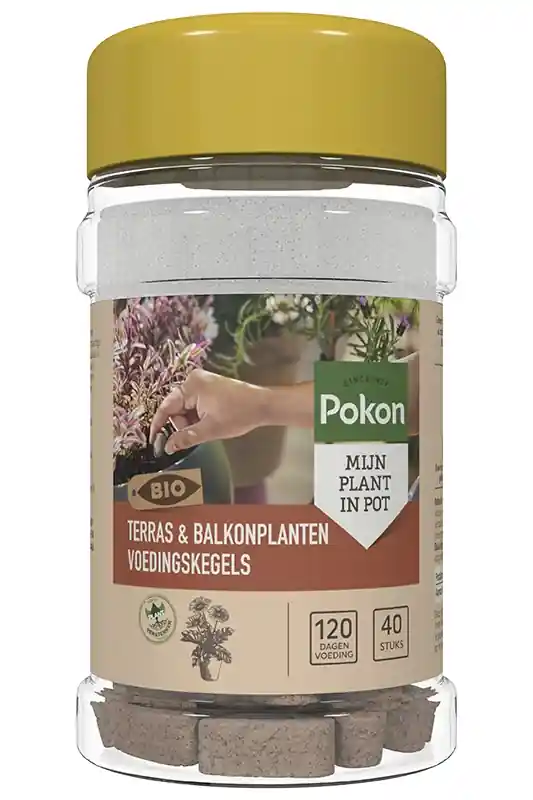 Pokon bio terras en balkon voedingskegels 40 stuks - Hoge kwaliteit