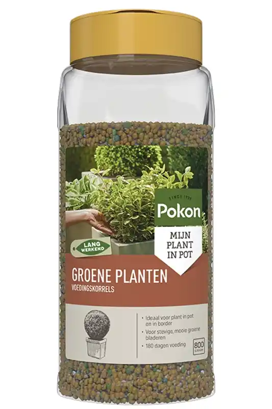 Pokon voedingskorrels groene planten - Net gelanceerd