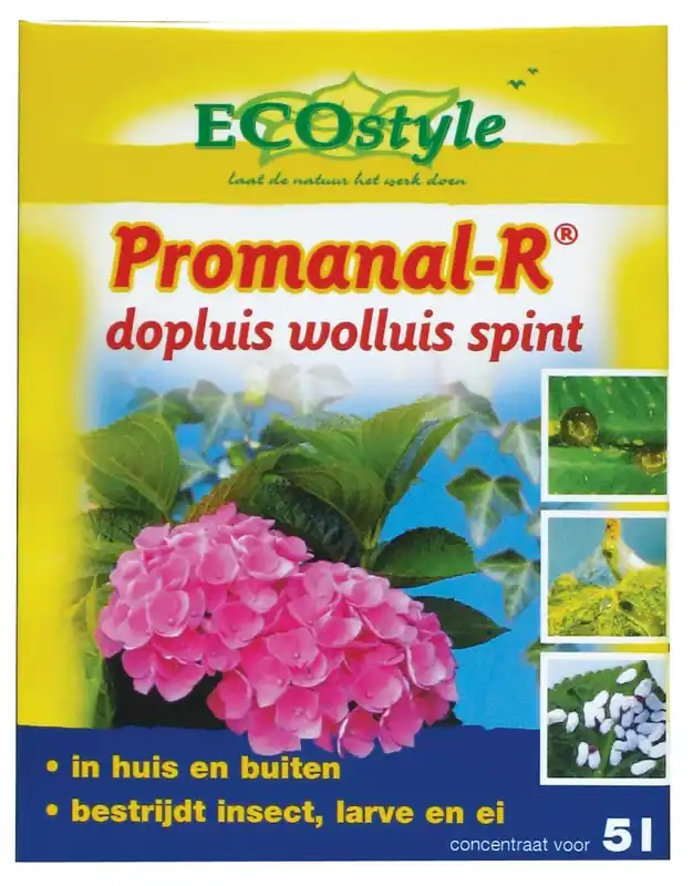 Veel gevraagd | ECOstyle promanal-r concentraat 50 ml