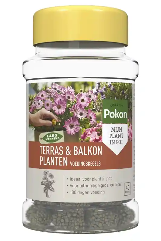 Nieuw gelanceerd - Pokon terras en balkon voedingskegels 40 stuks