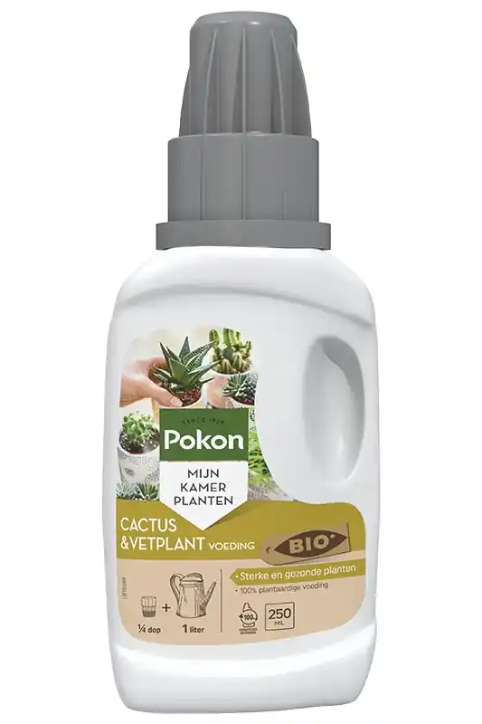 Pokon bio cactus en vetplant 250 ml | Extra korting