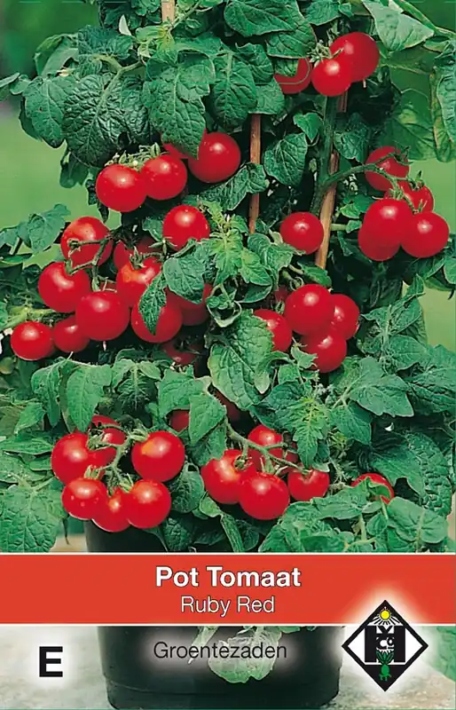 Uitverkoop | Pot tomaat Ruby Red