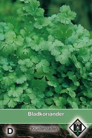 Bladkoriander / Coriandrum - Nieuw product