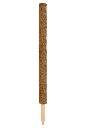Lage prijs | Nature kokosplantstok