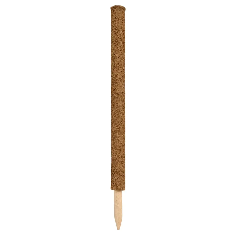 Profiteer nu - Nature kokosplantstok