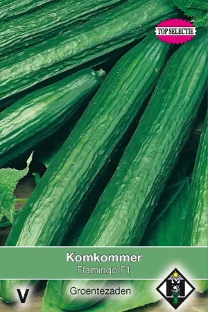 Komkommer Flamingo F1 - Outlet