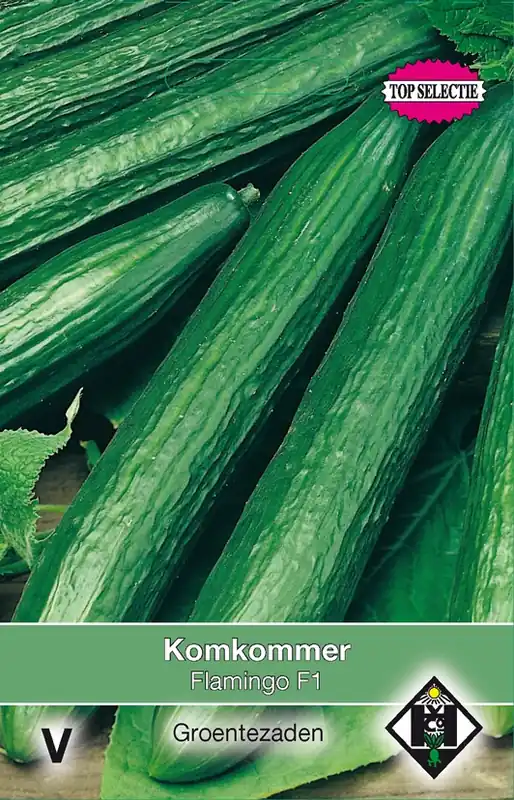 Komkommer Flamingo F1 - Outlet