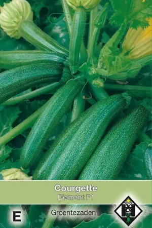 Courgette Diamant F1 | Veilig betalen