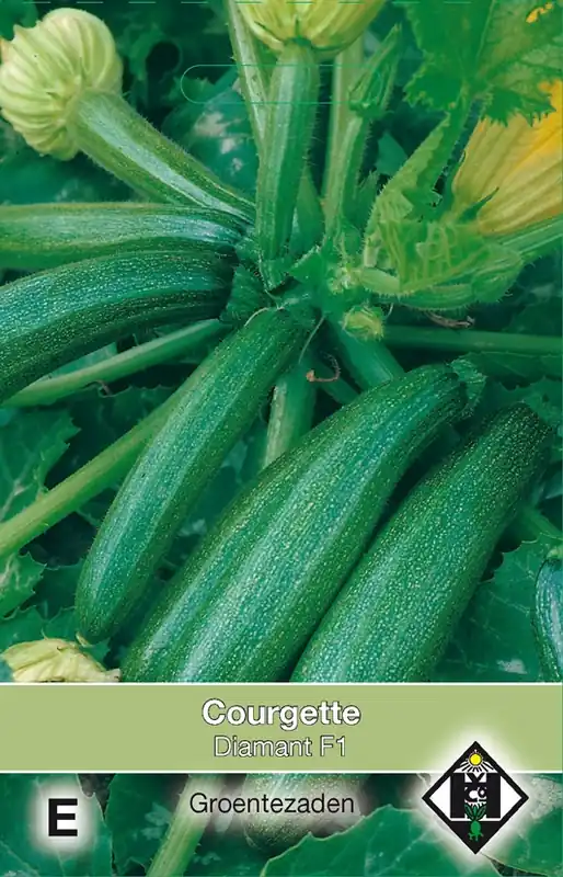 Courgette Diamant F1 | Veilig betalen