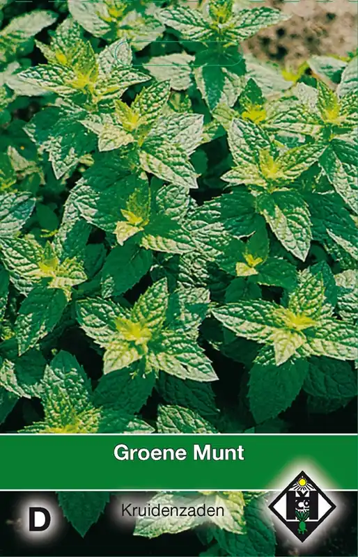 Deal - Groene Munt / Mentha