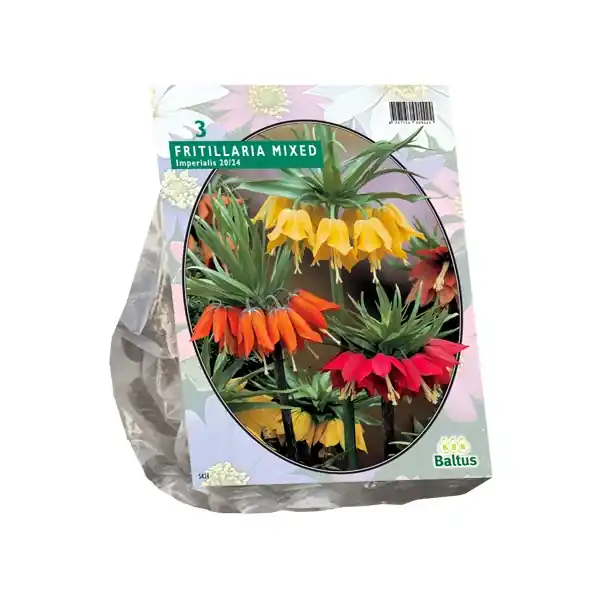 Eenvoudig retourneren - Fritillaria Imialis ed