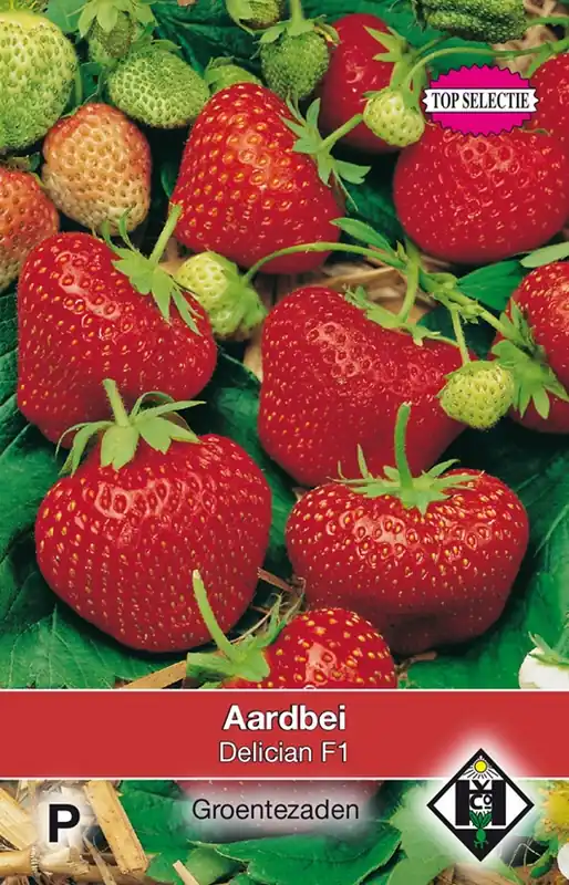 Spoedlevering - Aardbei Delician