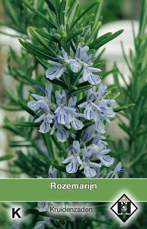 Meest verkocht | Rozemarijn / Rosmarinus