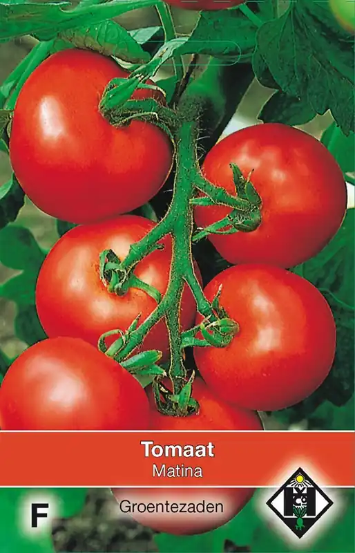 Superprijs - Tomaat ‘Matina‘
