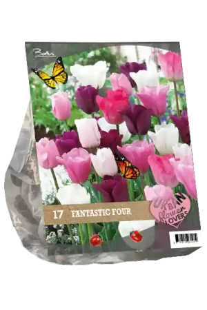 Urban Flowers - Fantastic Four per 17 - Scherp geprijsd