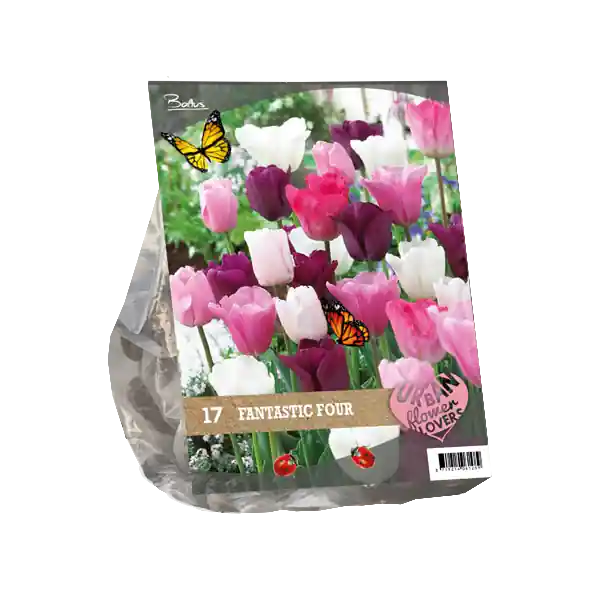 Urban Flowers - Fantastic Four per 17 - Scherp geprijsd