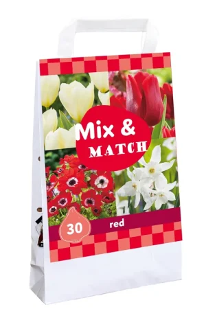 Direct leverbaar | Tas Mix & Match red