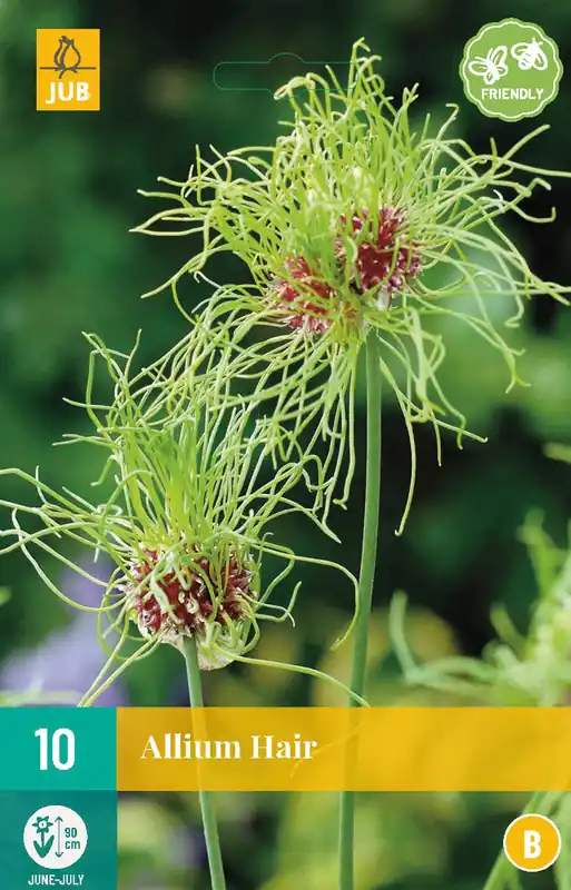 Allium Hair | Topdeal