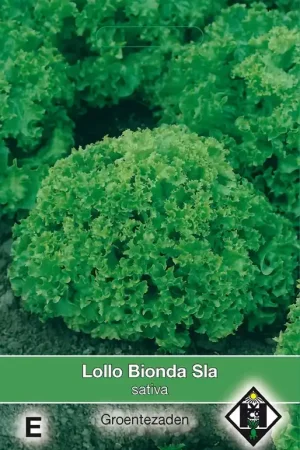 Bladsla Lollo Bionda - Eenvoudig retourneren