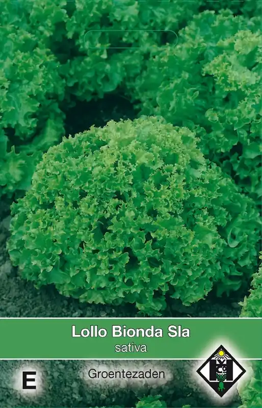 Bladsla Lollo Bionda - Eenvoudig retourneren