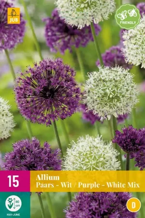Allium Paars-Wit Mix - Beste prijs