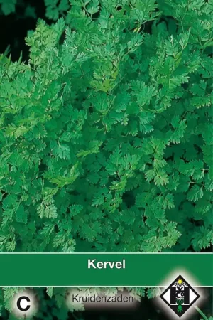 Hoog gewaardeerd - Kervel / Anthriscus