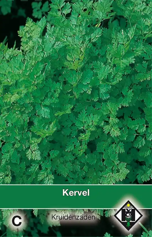 Hoog gewaardeerd - Kervel / Anthriscus