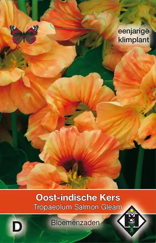 Tropaeolum majus ‘Salmon Gleam‘ - Oost-Indische kers - Lage prijs
