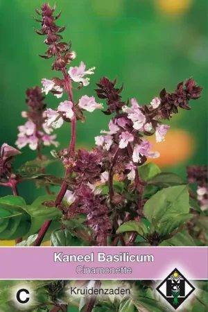 Fabrieksprijs | Kaneel Basilicum Cinamonette