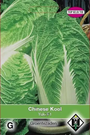 Hoge kwaliteit | Chinese kool Vitimo F1