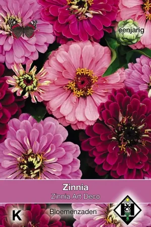 Beste prijs - Zinnia elegans Art Deco