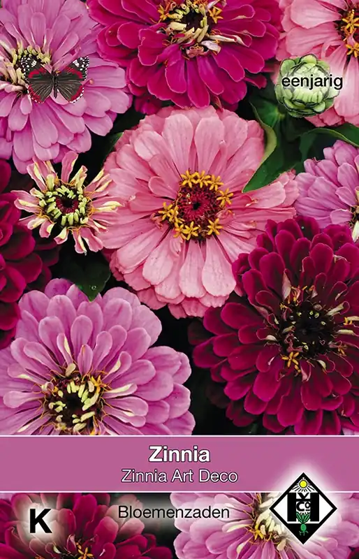 Beste prijs - Zinnia elegans Art Deco
