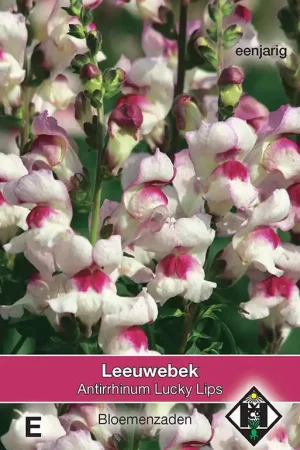 Antirrhinum majus ‘Lucky Lips‘ - leeuwebek | Hoog gewaardeerd