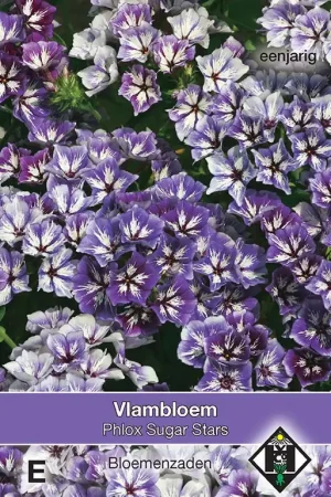 Koopje - Phlox drummondii Sugar Stars - vlambloem