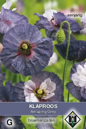Papaver rhoeas Amazing Grey - Veel gevraagd