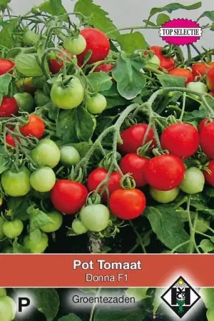 Pot tomaat Donna F1 | Beste prijs