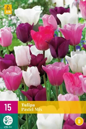 Zeer goed beoordeeld | Tulipa Pastel Mix