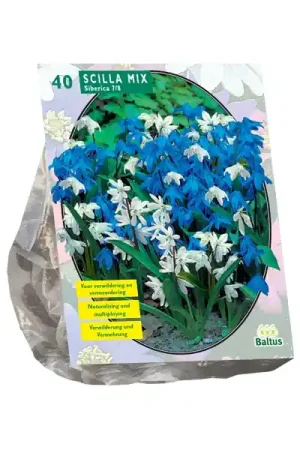 Bestseller | Scilla Siberica ed