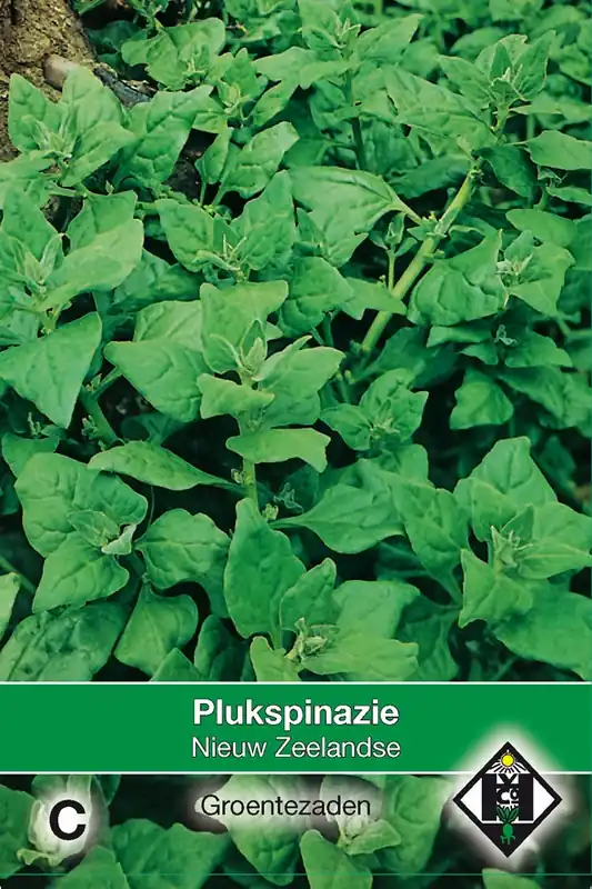 Speciale aanbieding | Plukspinazie Nieuw-Zeelandse