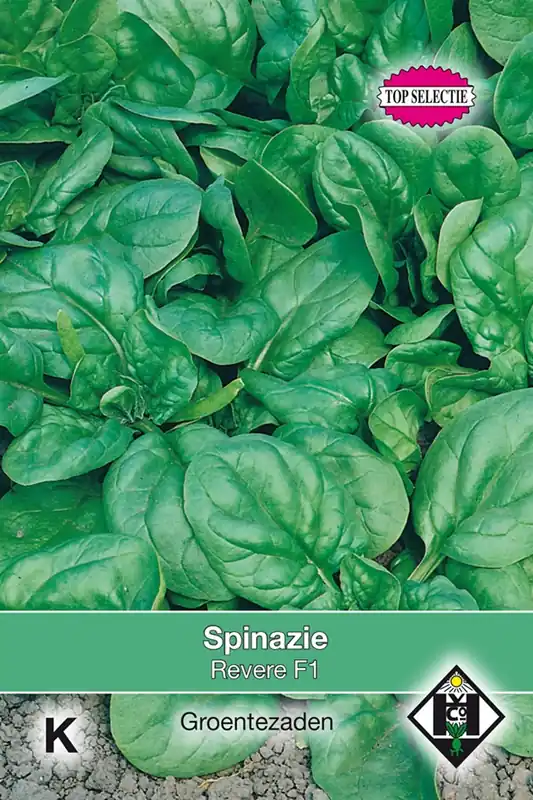 Spinazie Revere F1 - Topdeal
