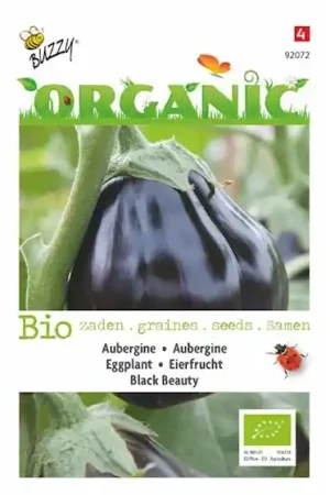 Aubergine Black Beauty (BIO) | Nu beschikbaar