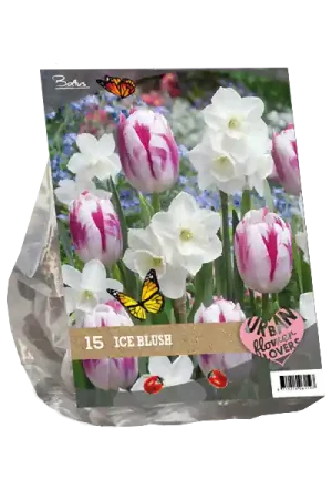 Flitsaanbieding - Urban Flowers - Ice blush per 15